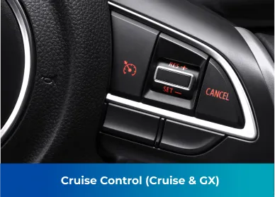 Suzuki Interior, Suzuki Auto Zone Interior