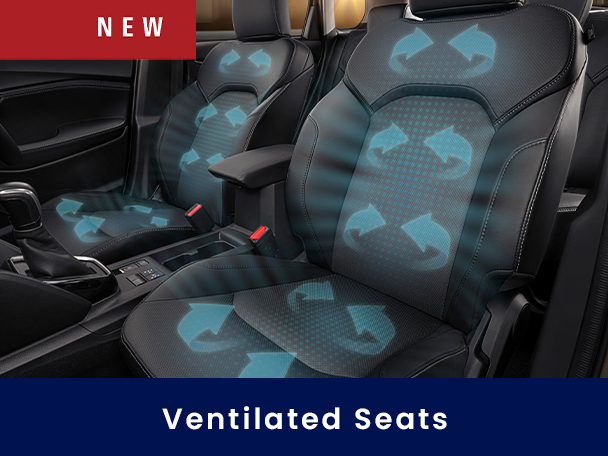 Suzuki Interior, Suzuki Auto Zone Interior