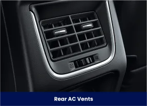 Suzuki Interior, Suzuki Auto Zone Interior