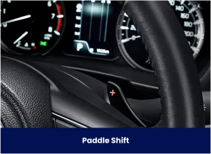 Suzuki Interior, Suzuki Auto Zone Interior
