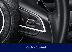 Suzuki Interior, Suzuki Auto Zone Interior